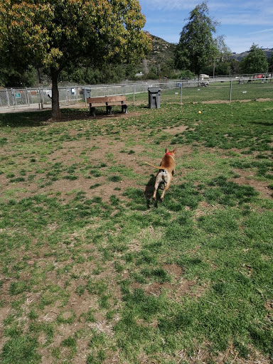 Dynamic K-9 - Pet Training Average Rating: 5.0 & 2 Reviews | 2395 San ...